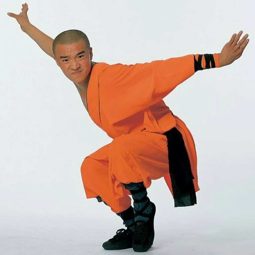 Включи видео кунг фу. Кунг фу шаолинь. кунг фу шаолинь стойки. базовые стойки кунг фу шаолинь. кунг фу шаолинь стиль дракона.