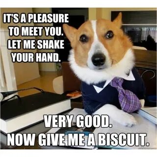 Pleasure meeting you