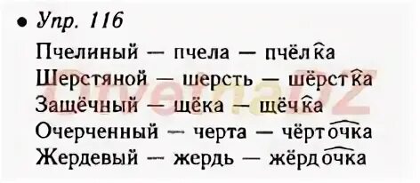 Упр 116 5 класс