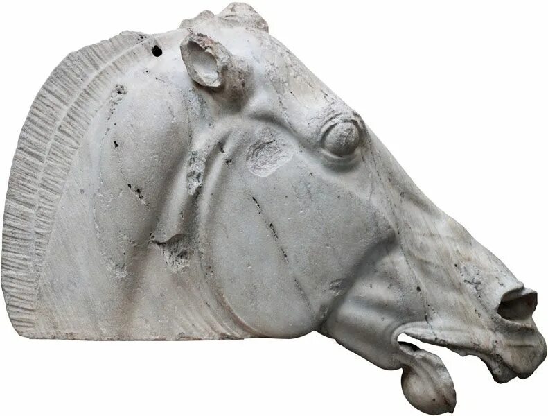 Греческий конь. Голова коня. Лошадиная голова скульптура. Голова коня Греция. Британский музей голова коня из Греции.