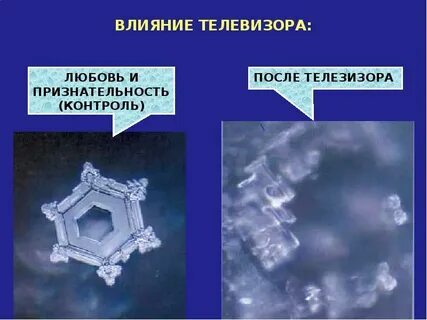 Влияние слов статьи