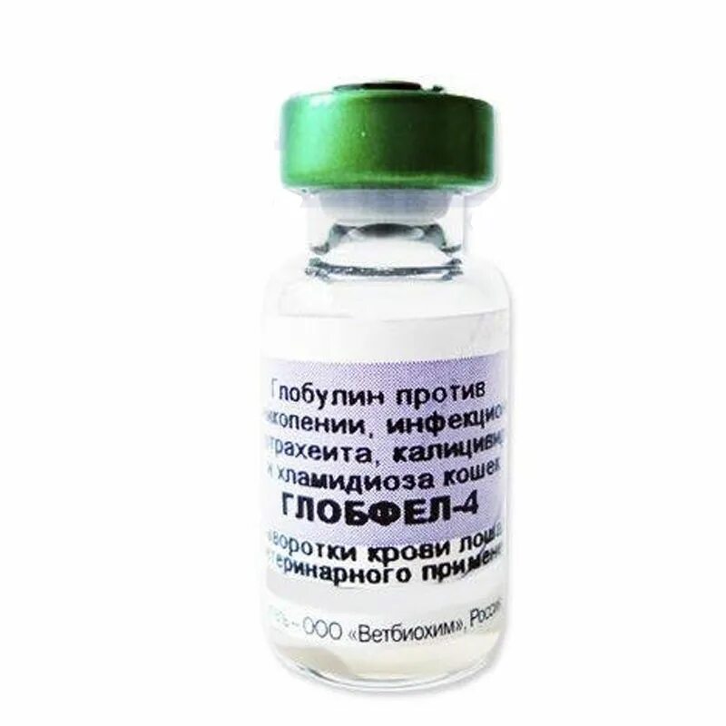 Гискан для собак 5 инструкция по применению. Глобфел-4 глобулин для кошек. глобкан. гискан-5. глобкан-5 сыворотка.