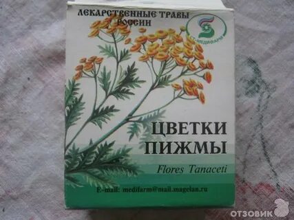 Экстракт пижмы