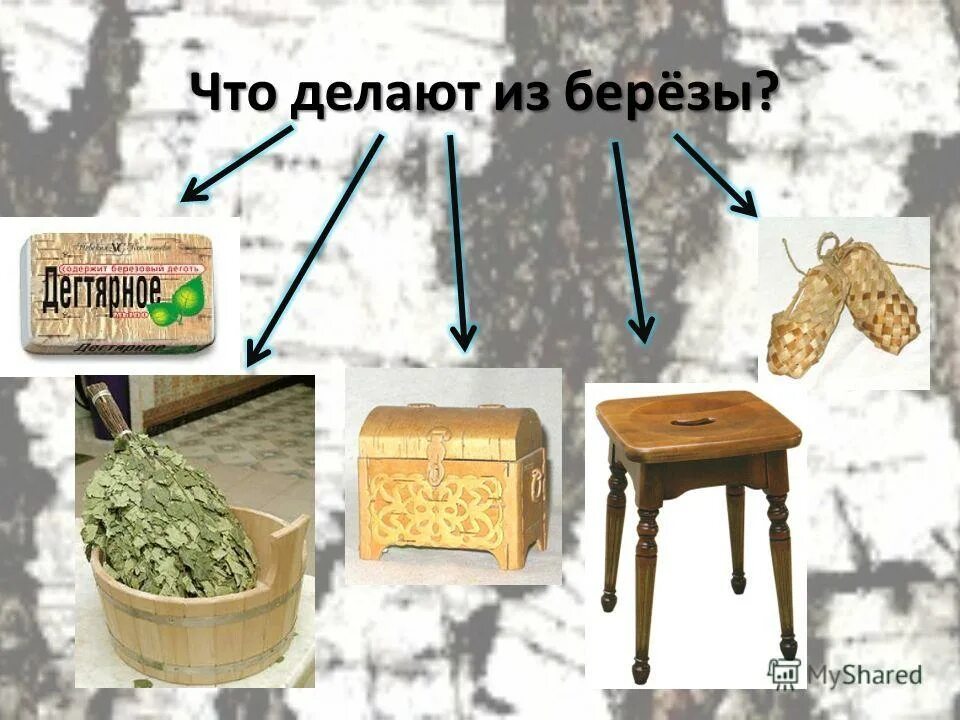Что изготавливают из березы. Что делают из березы. Использование деревьев в быту. Что делают из березы. Изделия из берёзы русской.