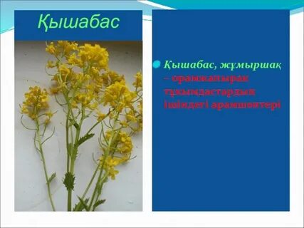 Жуынатын бөлмеде жуынатын адамдардың жасырын камера порносы