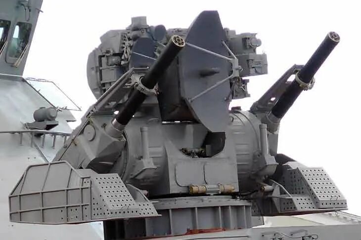 Каштан ciws. Комплекс каштан. Комплекс каштан. Модуль зрак 3м87 «кортик». Комплекс каштан.