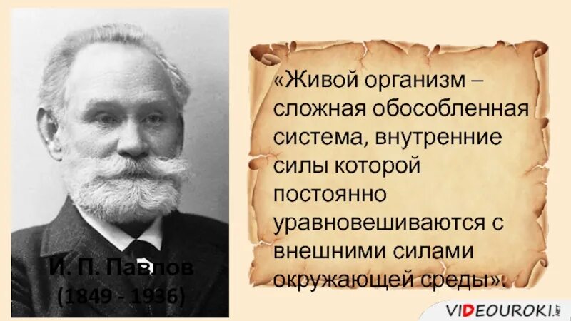 Организация сложный организм. Живой организм афоризмы. Язык это живой организм цитата. Сложные организмы. Русский язык живой организм.