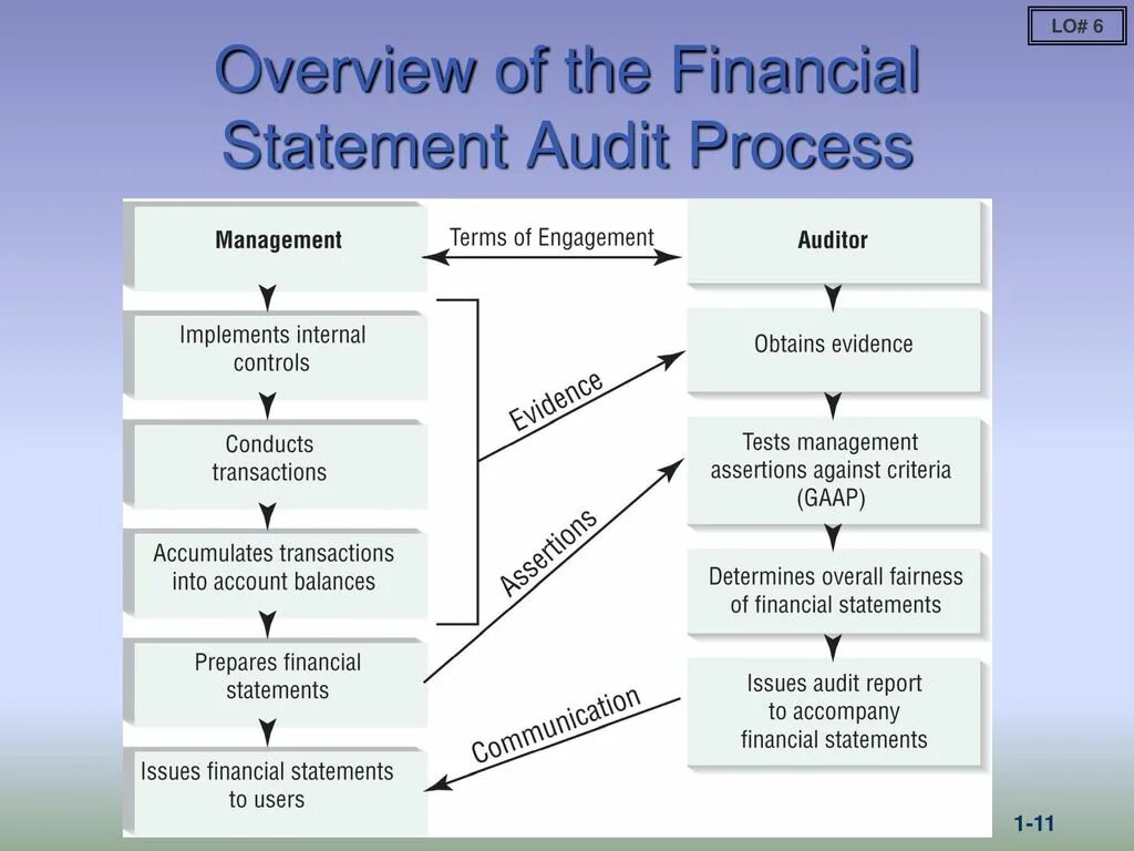 Audit of Financial Statements. Statements of Financial transactions. Inadequate Auditing of the Financial Statements. Process Financial transactions. Statement users