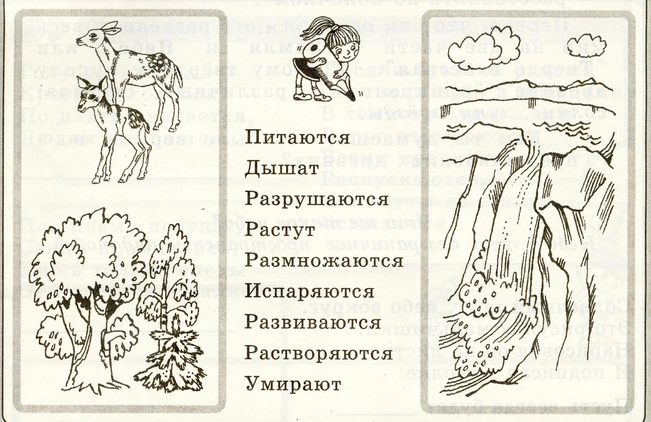 Промежуточные тесты 1 класс