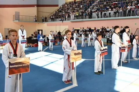 Кубок рязанского кремля тхэквондо