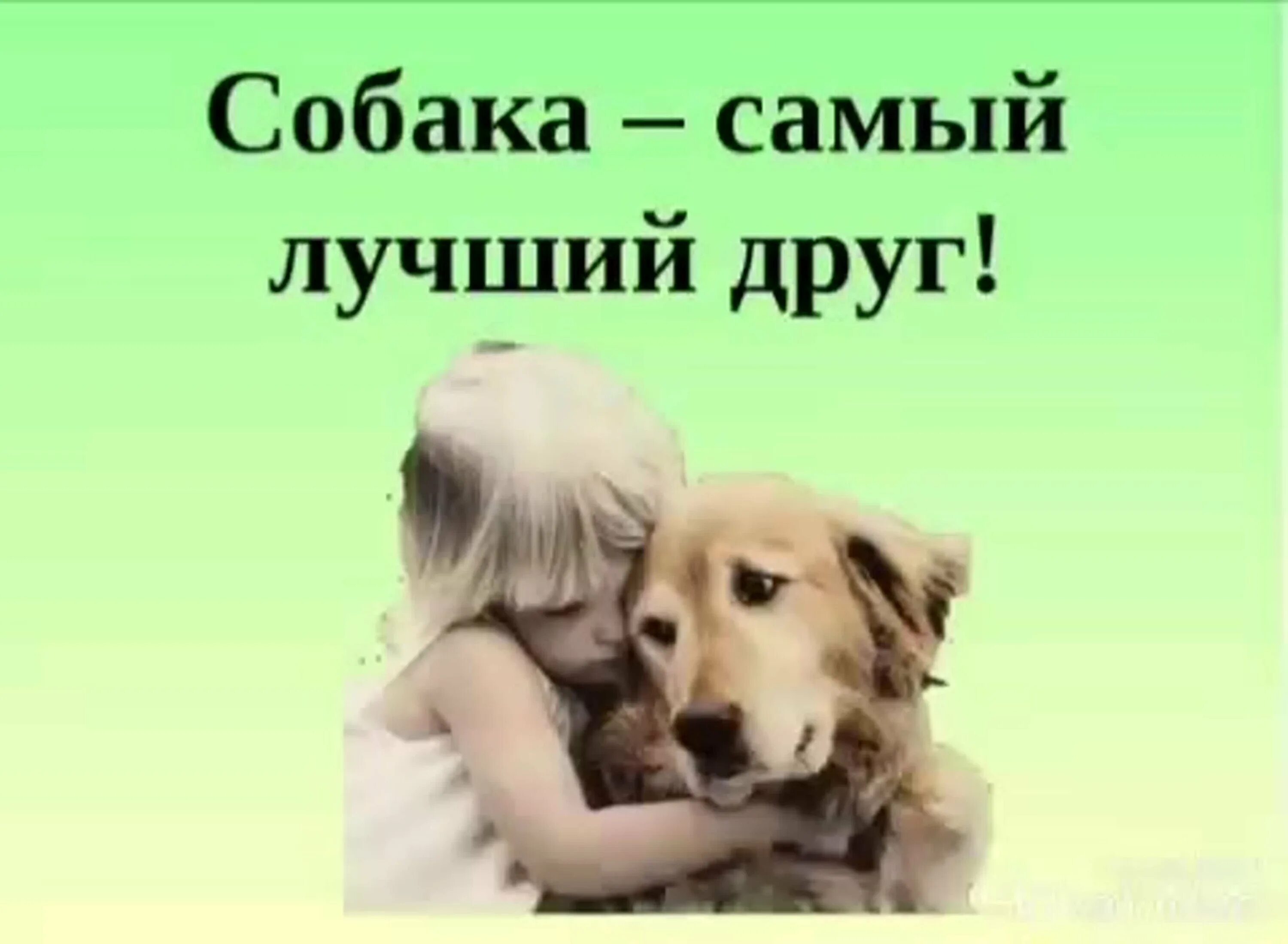 Собака - лучший друг. Собака самый лучший друг человека. Собака верный друг. Собаки наши верные друзья.
