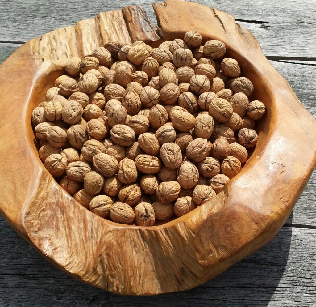 Купить орехи в нижнем новгороде. Грецкий орех Кодрене. Орех дерево. Грецкий орех древесина. Спил грецкого ореха.