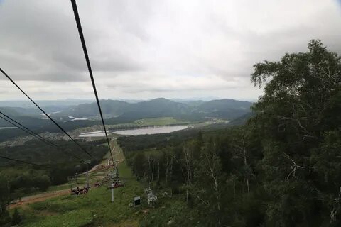 Манжерок горный алтай работа
