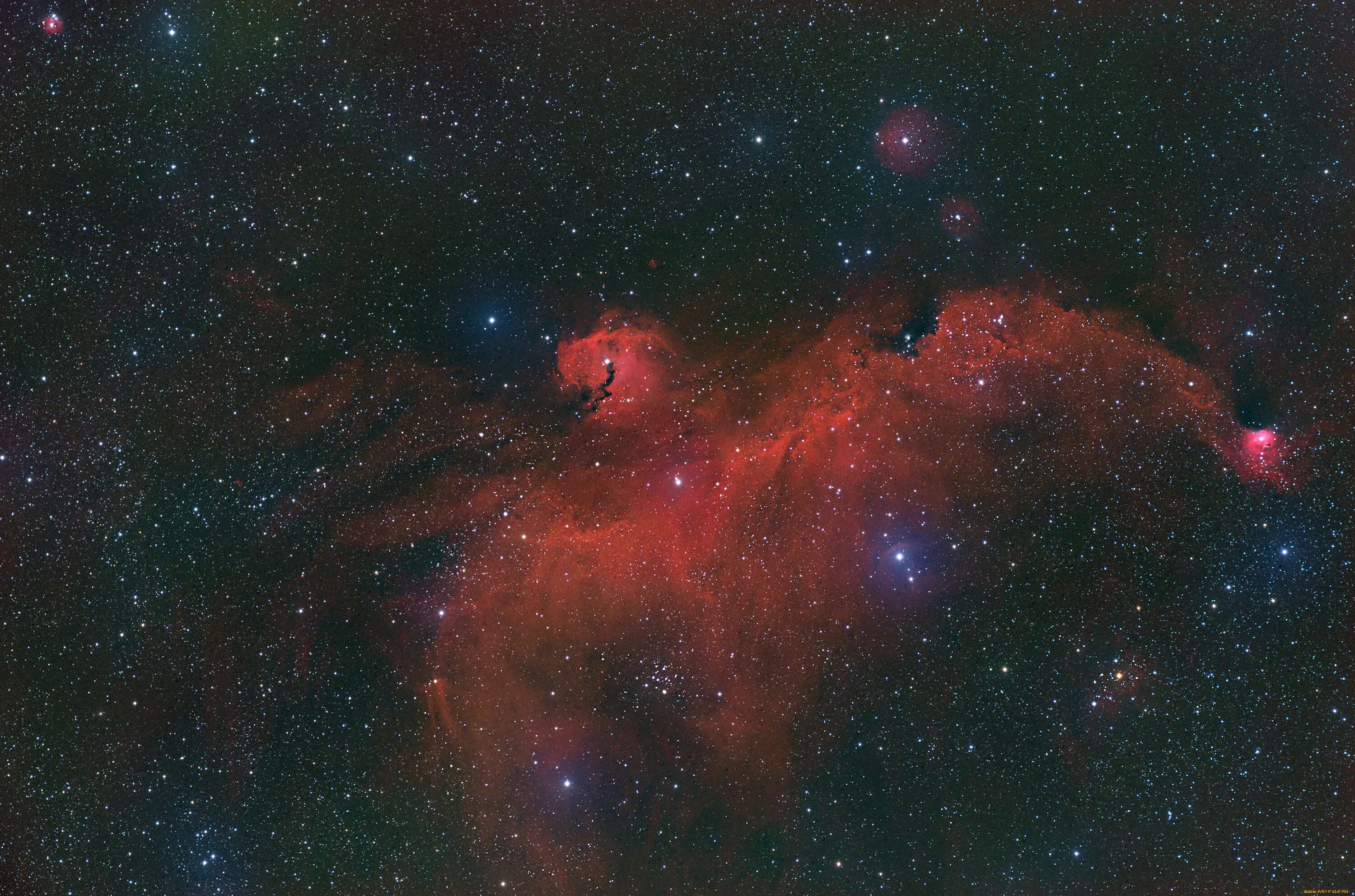 Туманность ic2177. Космос туманность Млечный путь. Космос звезды Галактика туманность. Космос туманность Чайка. Изображение 2000 2000 пикселей