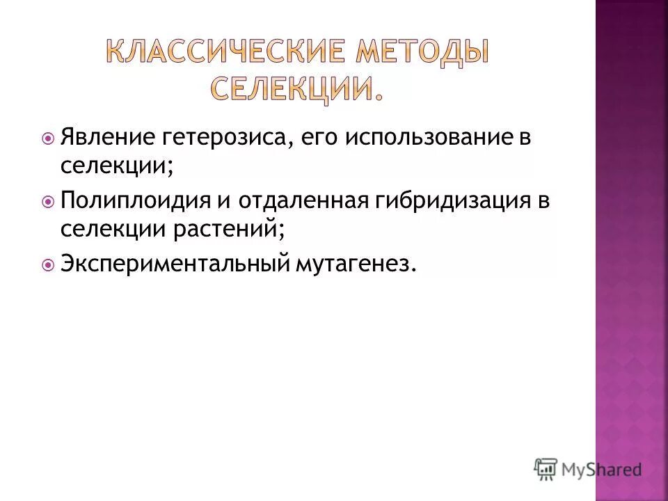 Гетерозис лошак. Гетерозис растений у кукурузы. Методы селекции растений гетерозис. Селекция кур примеры. Гетерозис лошак.