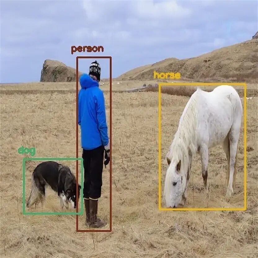 Object detection python. Object detection in python. yolo python. object detection.