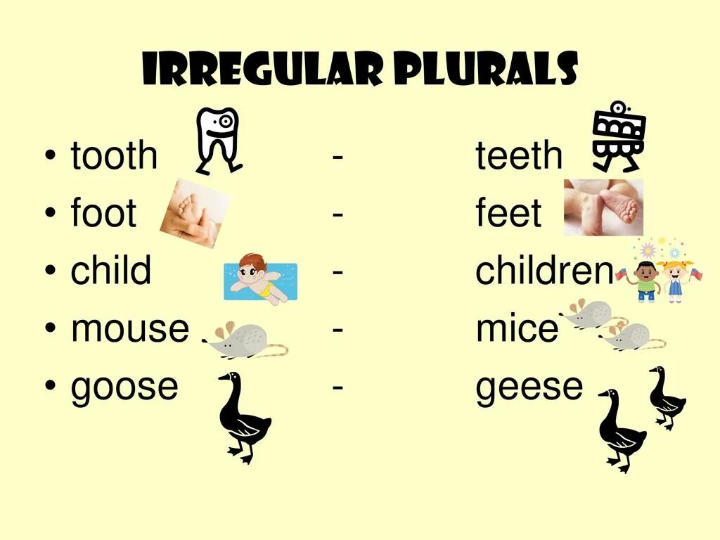 Irregular plurals в английском языке. Foot множественное число в английском языке. Tooth множественное число в английском языке. Mouse Mice Goose Geese.