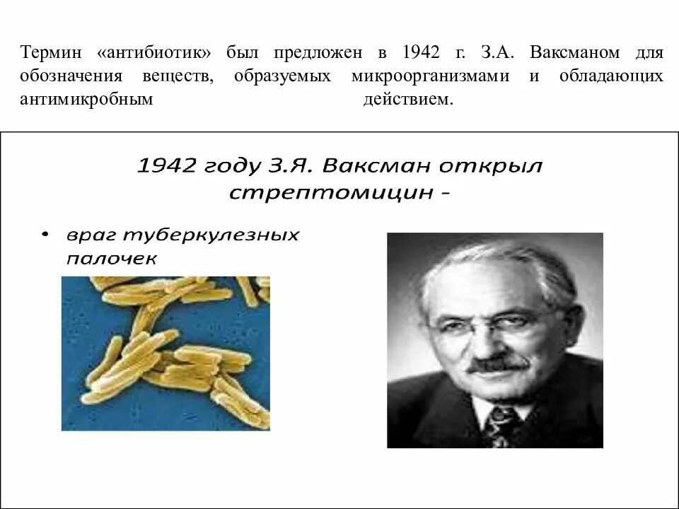 Кем был предложен термин антибиотик. Термин антибиотик ваксман. термин антибиотик. термин антибиотики предложил.