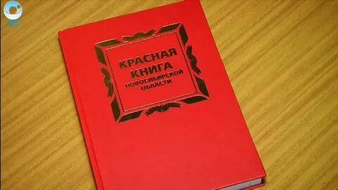 Красная книга нсо