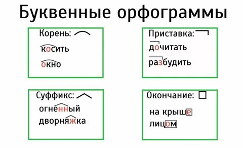 Орфограмма в слове жизни