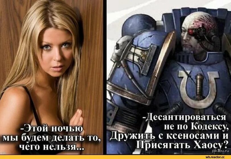 Фразы вархаммер. Император человечества вархаммер. Бог-император человечества вархаммер 40000. Вархаммер высказывания. Вархаммер фразы.