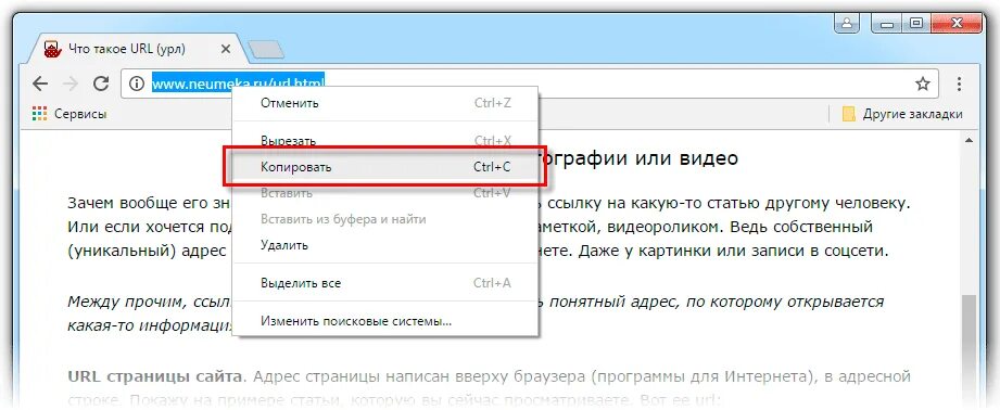 Url fetcher. Как узнать URL адрес страницы. URL адрес изображения. Что такое URL сайта. Как узнать URL изображения.