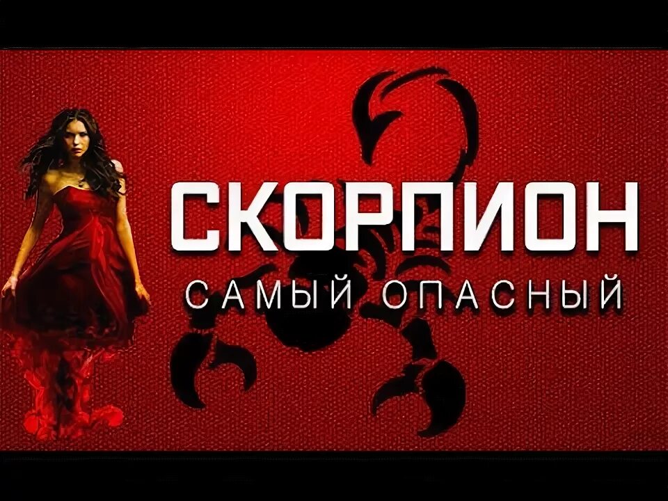 Гороскоп скорпион ребенок. Девочка характер скорпиона. Сообщение о созвездии скорпион. Факты о скорпионах женщинах. Поговорки про скорпионов.