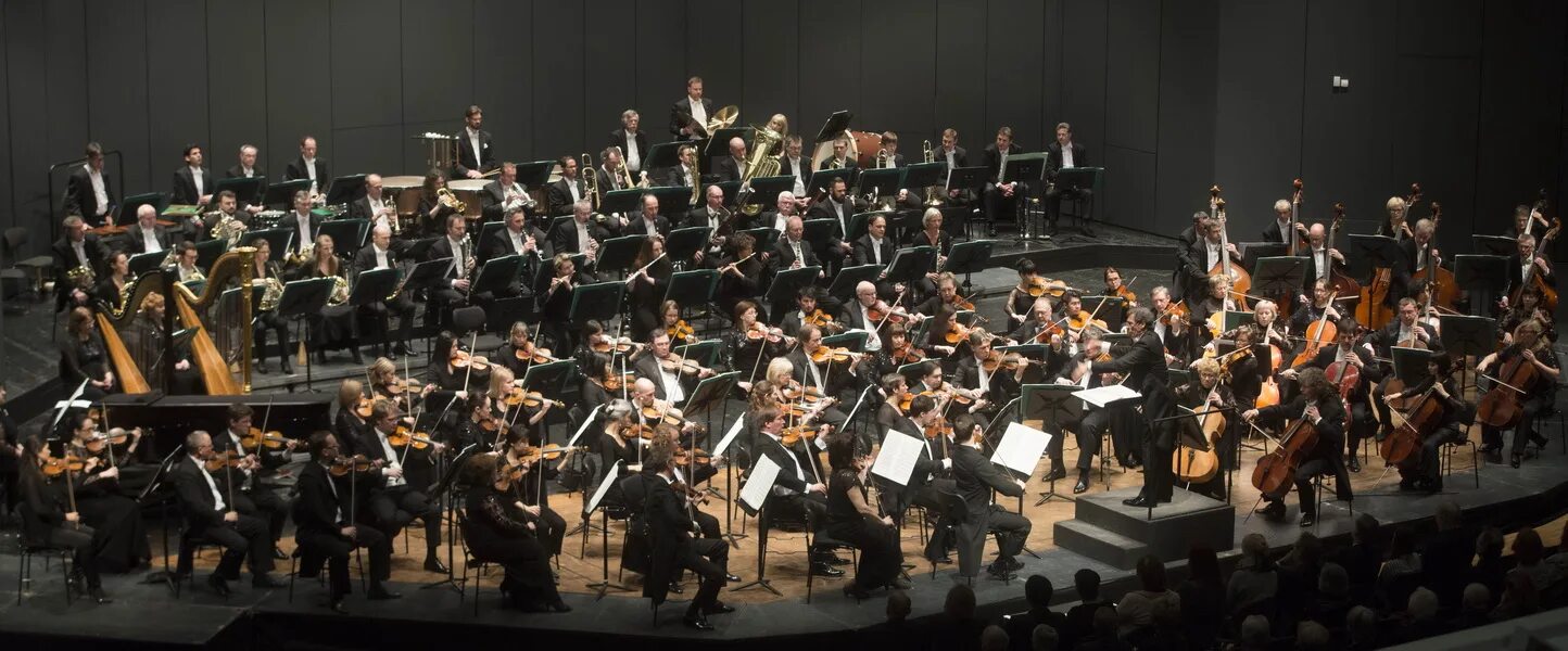 Оркестр. В. Оркестр начал играть знакомую мелодию. Орловский губернаторский симфонический оркестр. Академический симфонический оркестр московской филармонии.