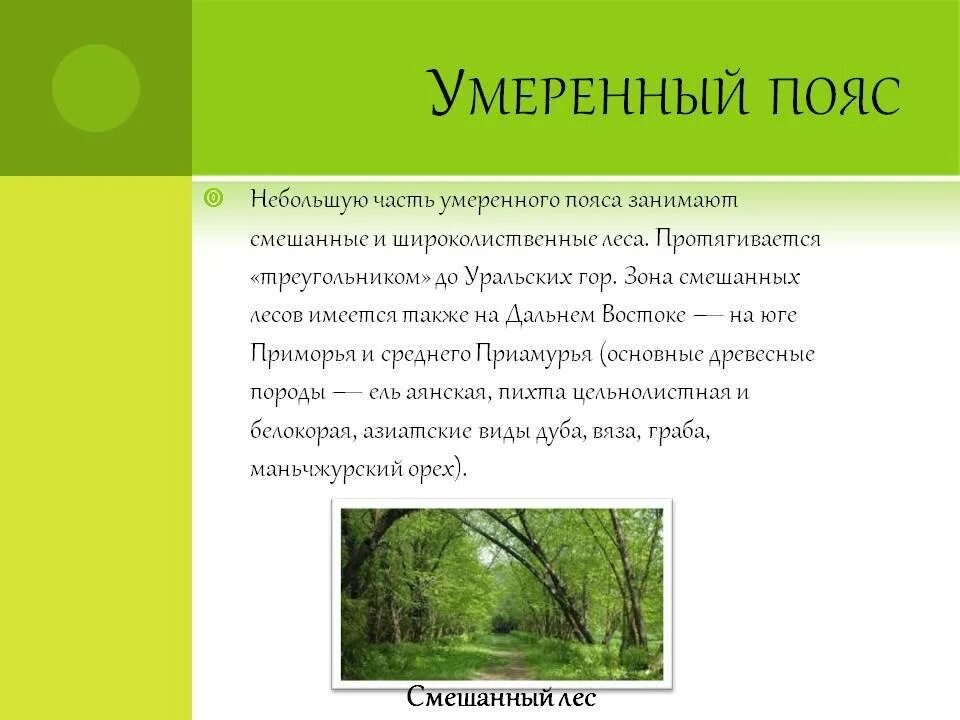 Положение зоны широколиственных лесов