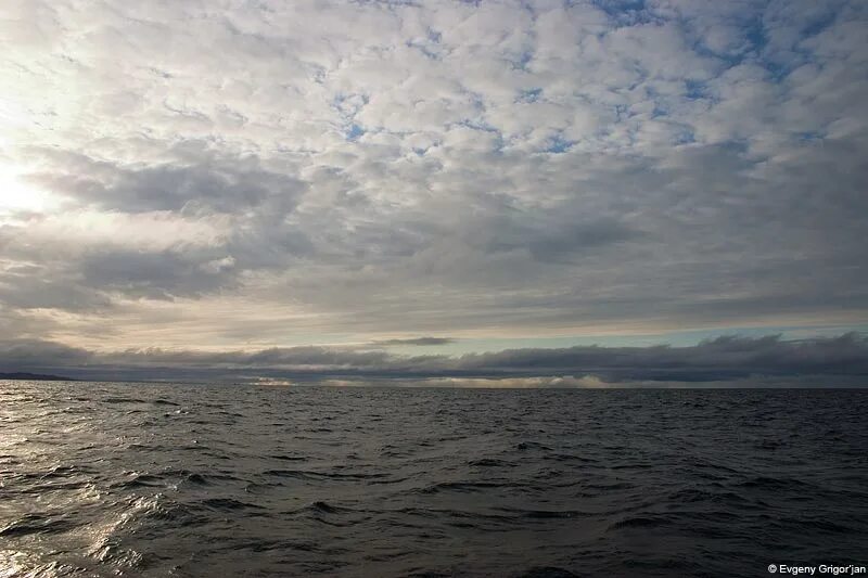 Бассейн океана баренцево. Баренцево море море в Архангельске. Баранцевоморе. Мурманск Балтийское море. Острова Баренцева моря.