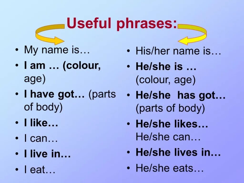 Her his name s. What`s her his name. Useful phrases. My his her презентация. Phrases in English.