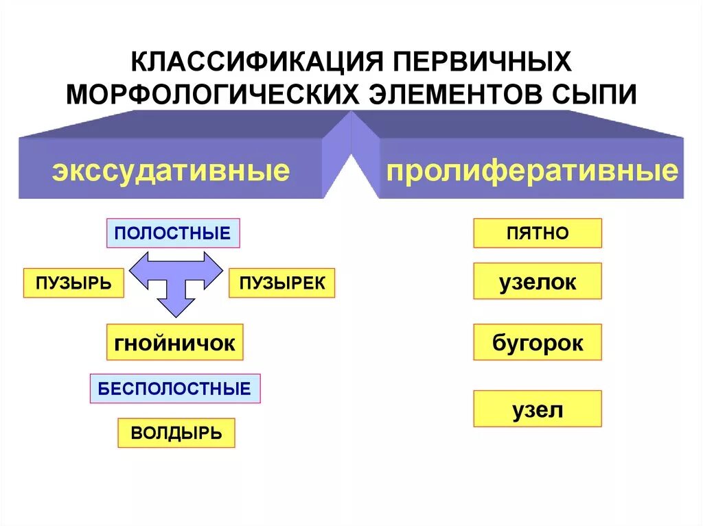 Первичные и вторичные поражения