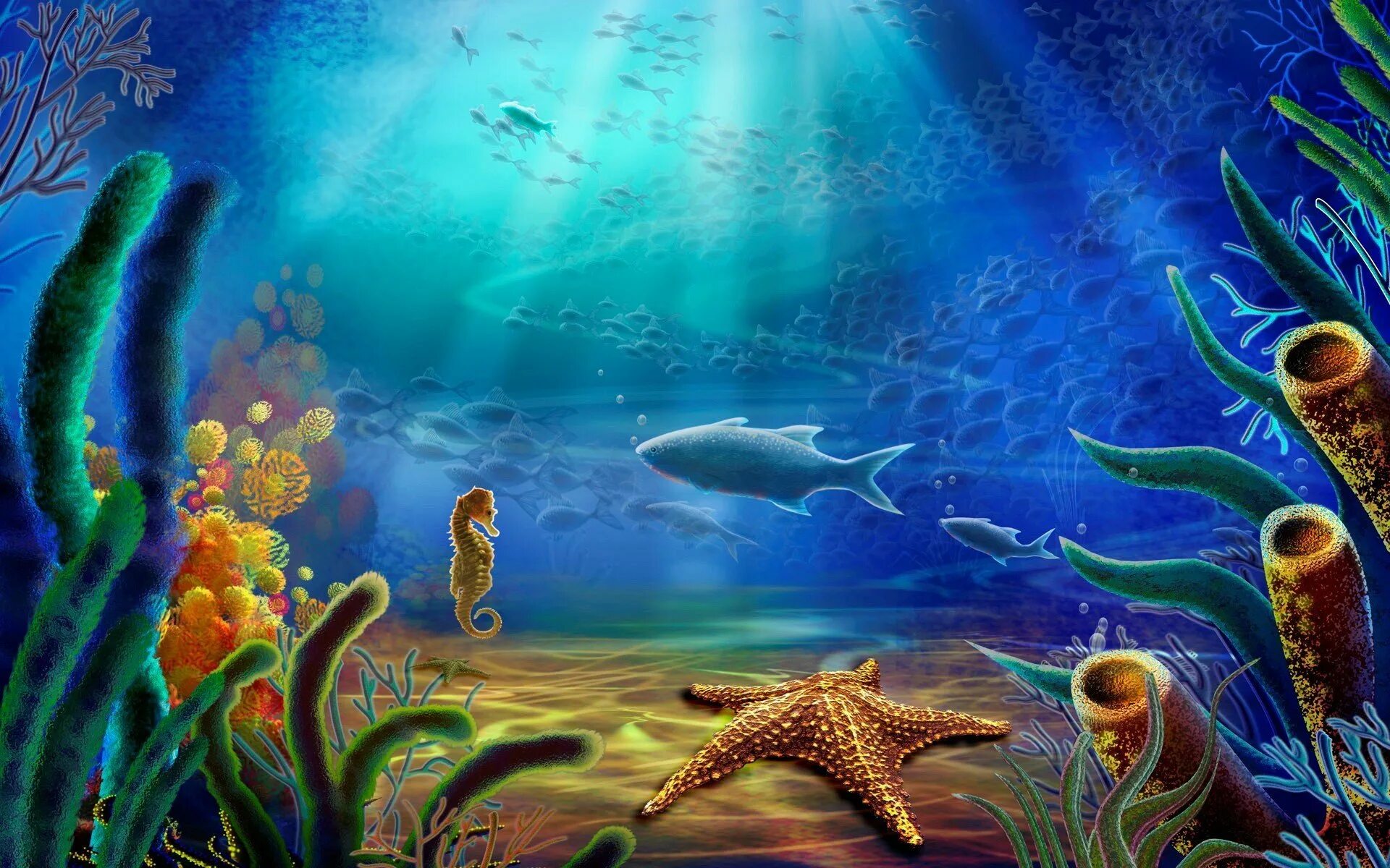 Кто живет на дне морском. Морское дно. Подводный мир. Обитатели морского дна. Подводный мир океана.