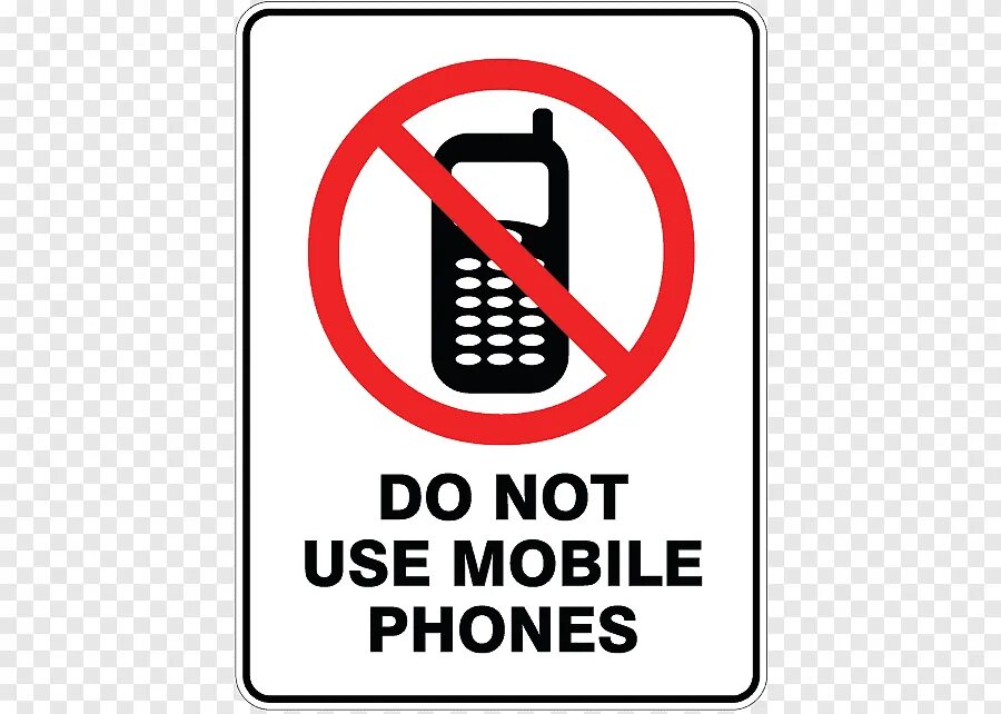 Фотоаппарат в руках. Using a camera. Девушка фотограф. Маленькие камеры для съемки блогов. Профессиональный фотоаппарат.