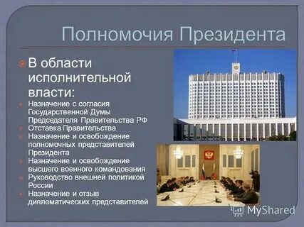 Правительство главные орган исполнительной власти