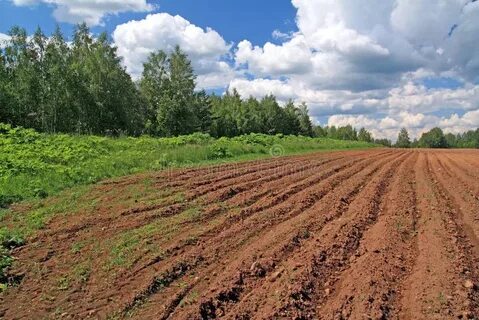 Май земель