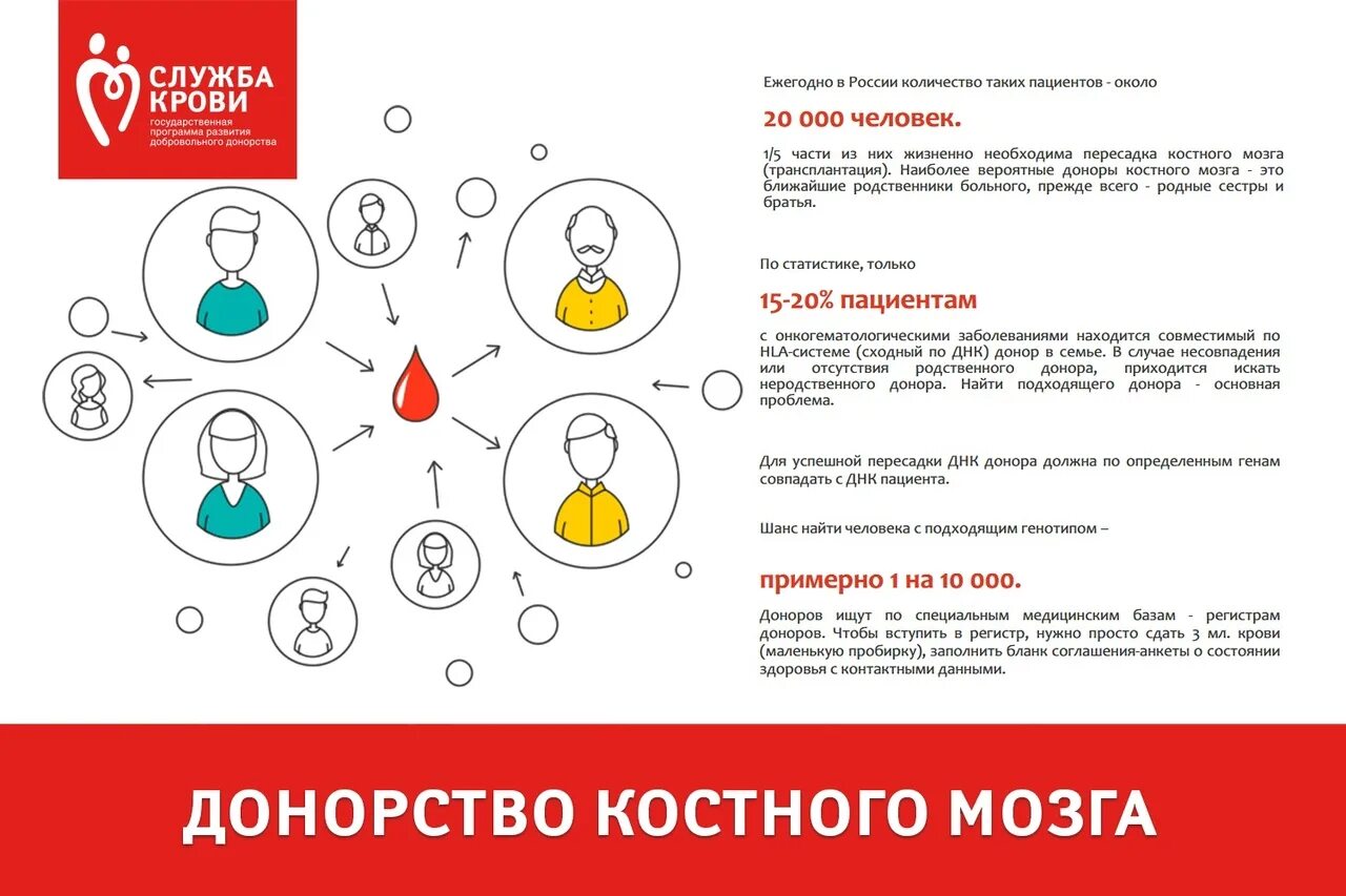 Благотворители выступили против разработанных Минздравом стандартов онкопомощи -