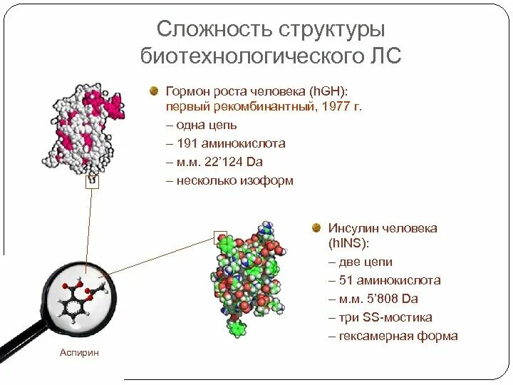 Получение соматотропина. Гормон роста человека биотехнология. Структура гормона роста человека. Рекомбинантный гормон роста человека. Структура соматотропина.