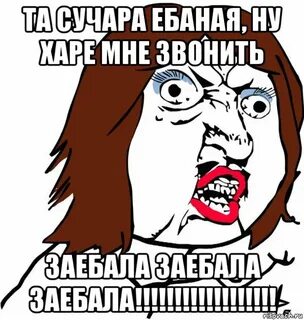 Сучара