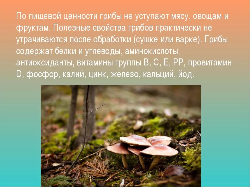 Питательные вещества содержащиеся в грибах. Грибы свойства. Полезные грибы для человека. Грибы полезные свойства. Полезные и неполезные грибы.