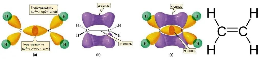 Строение молекулы этилена гибридизация. Строение этилена орбитали. Строение молекулы этилена. Sp2 гибридизация молекулы этилена.