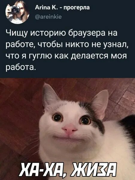 Весёлый полтишок 29.12.22 - ЯПлакалъ