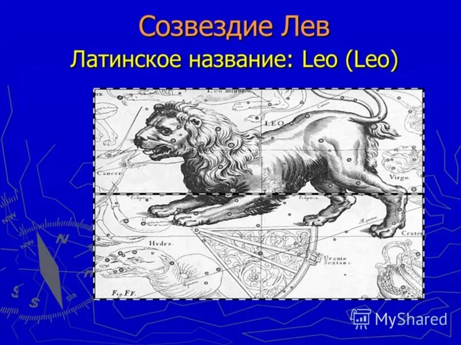 Созвездие лев рассказ 2 класс. Созвездие Льва мифология. Миф о созвездии Льва. Созвездие Льва рисунок. Созвездие весеннего неба Лев.