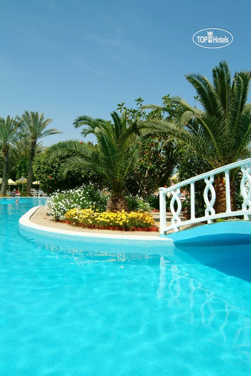 Riadh palms 4 тунис. Риад палмс тунис. riadh palms 4. riadh palms 4 тунис сусс. riadh belaïche.
