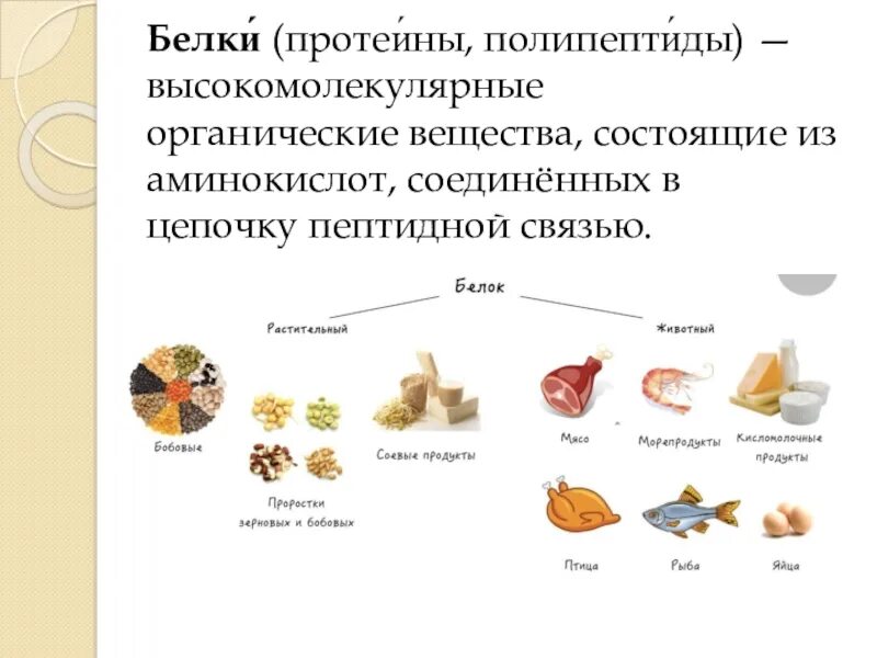 Белки высокомолекулярные органические соединения состоящие. Белки (протеины, полипептиды). Белки это высокомолекулярные соединения. Из каких простых органических соединений состоят белки.