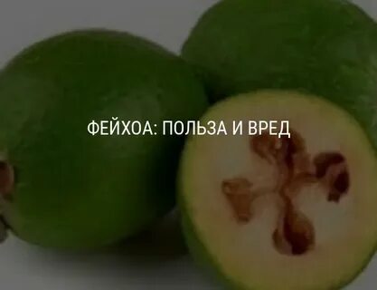 Фрукт фейхоа чем полезен и как употреблять