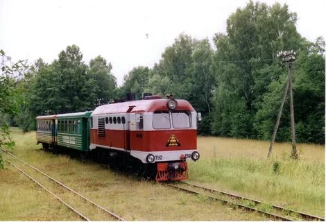 Узкоколейка в беларуси