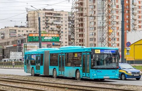 Автобус 54 спб