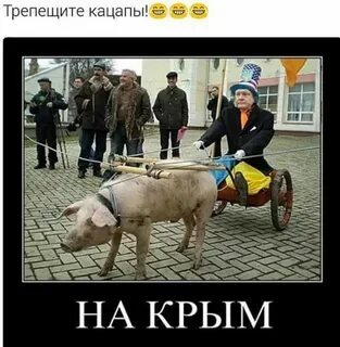 Приколы про украинское