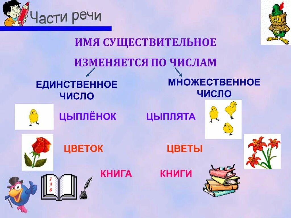 Изменение имен существительных презентация 2 класс. Мн и ед число в именах существительных. Число имен существительных. Имена существительные единственного и множественного числа. Единственное и множественное число имен существительных.